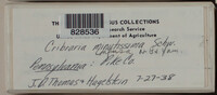 Image Associated With the Occurence
